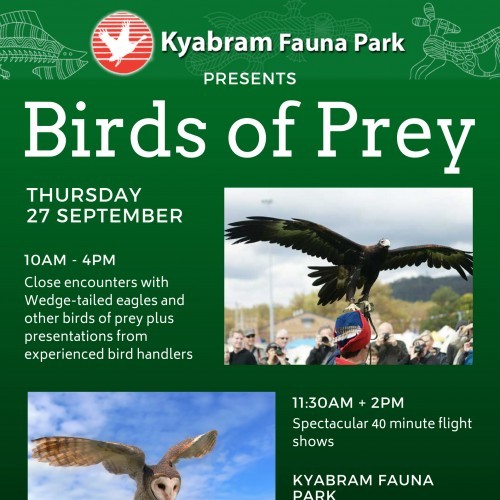 Birds of Prey - Kyabram Fauna Park