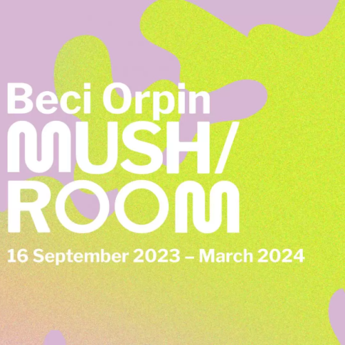 Beci Orpin: MUSH/ROOM - A Field Guide to Explorations