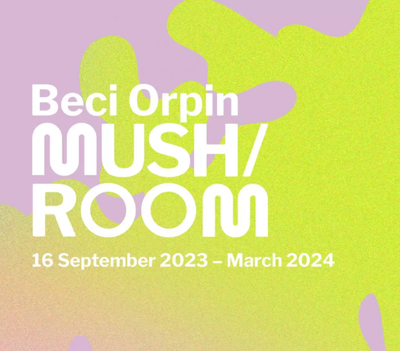 Beci Orpin: MUSH/ROOM - A Field Guide to Explorations