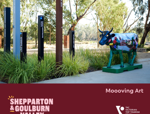 Shepparton 2