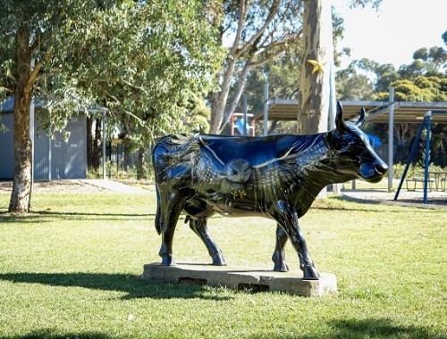 Moooving Art Judd Park Merrigum