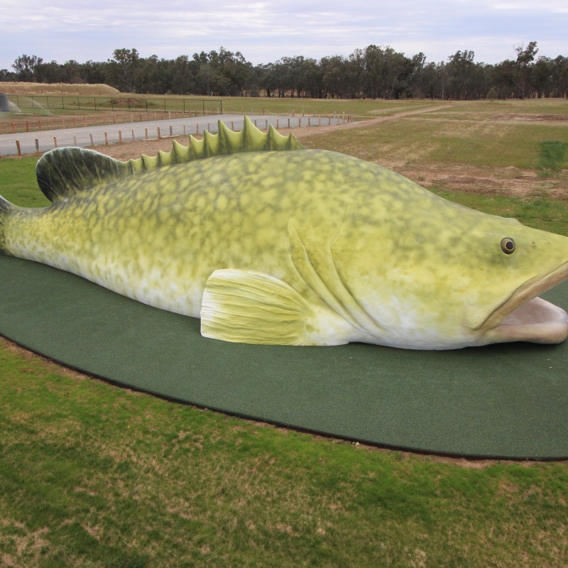 Arcadia Native Fish Hatchery Visitor Centre & Giant Murray Cod