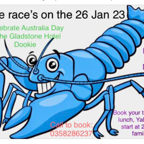 Australia Day Yabbie Races