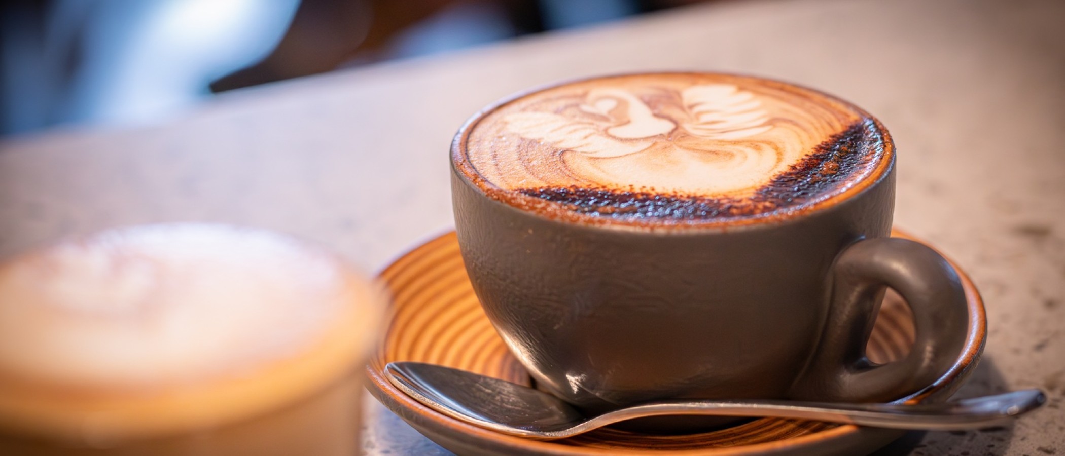 Evolve North Cappaccino