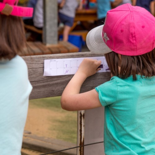 Pirate Treasure Hunt