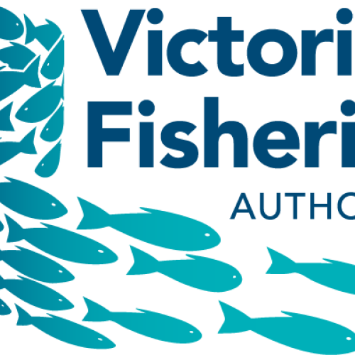 Fishing for All Clinics