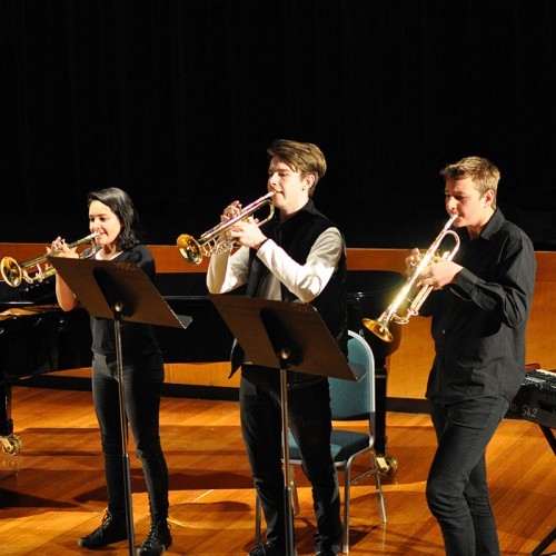 Riverlinks and the Shepparton Competition Society present Shepparton Young Instrumentalist Award 