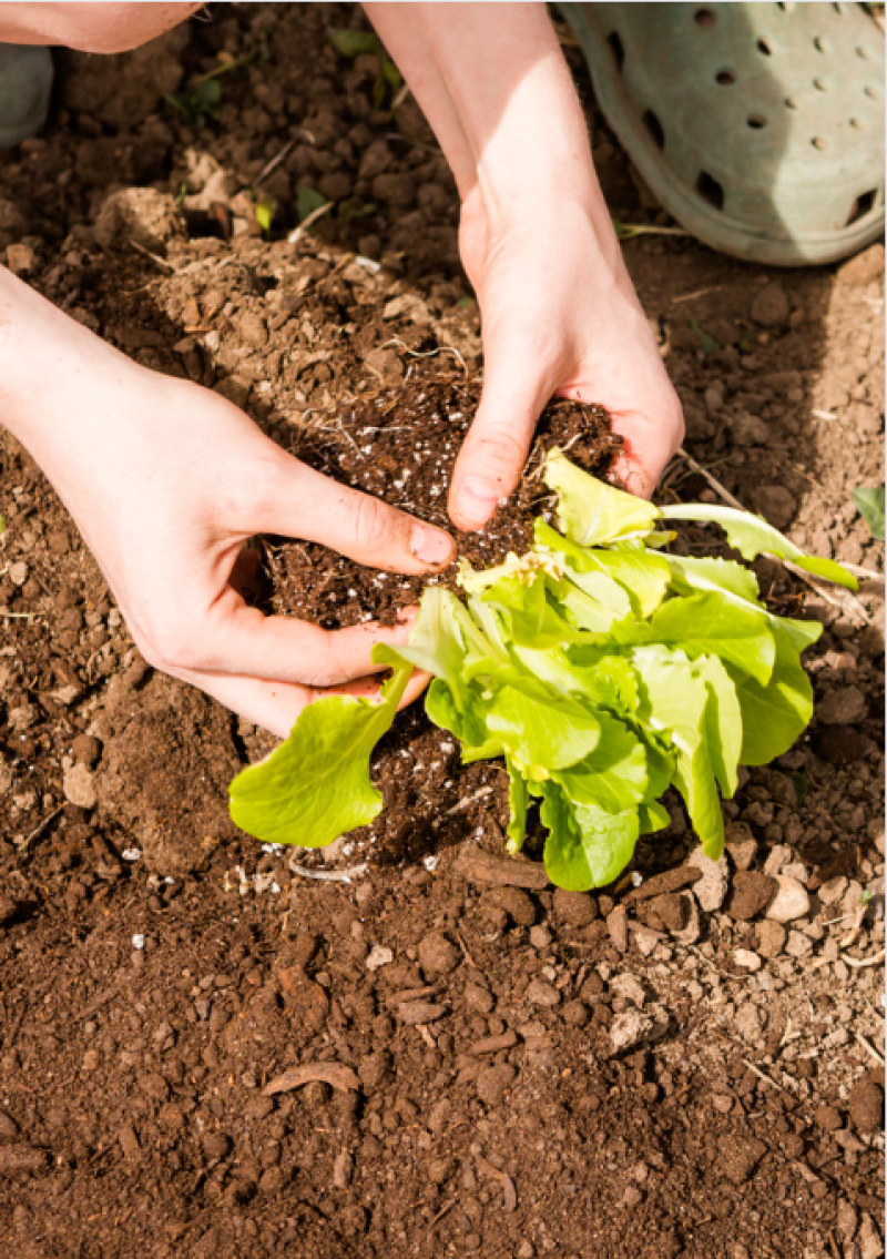 Sprout Mud and Messy Play