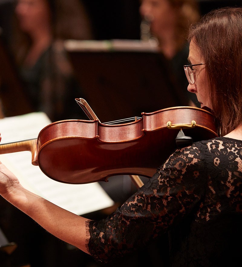 Riverlinks and Melbourne Symphony Orchestra present An Evening with the MSO
