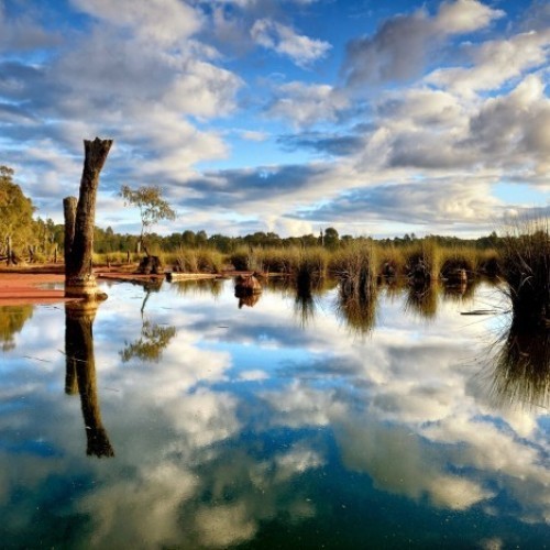 CANCELLED - Nature Photography