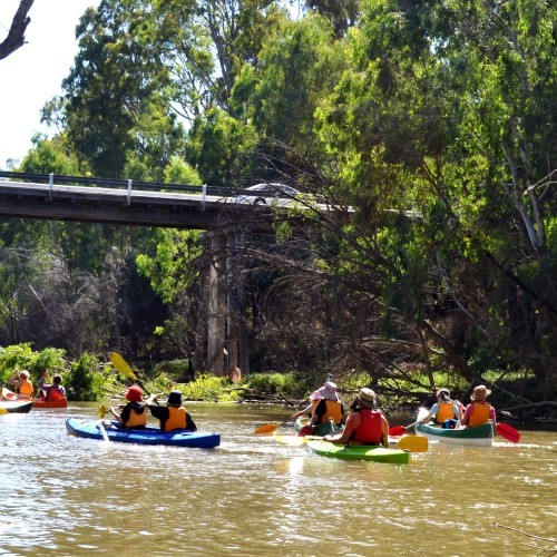Canoeing Along the Goulburn