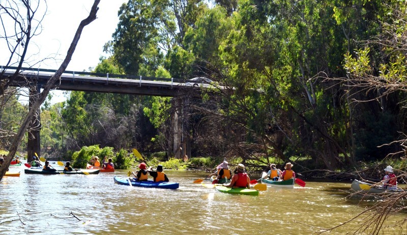 Canoeing Along the Goulburn