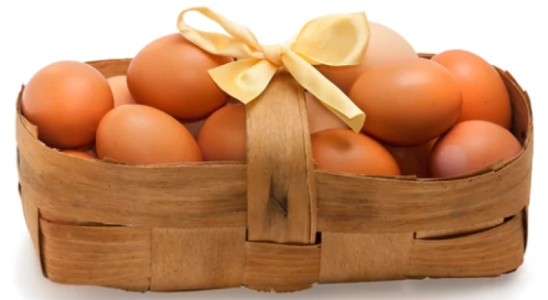 Creative Arts Exhibition