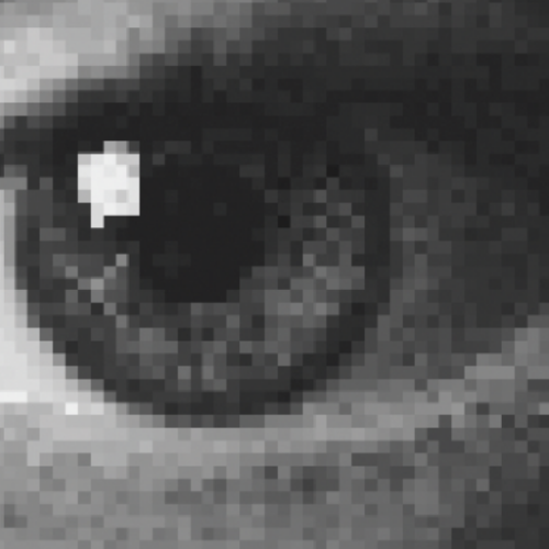 Shepparton Festival - Festival Opening