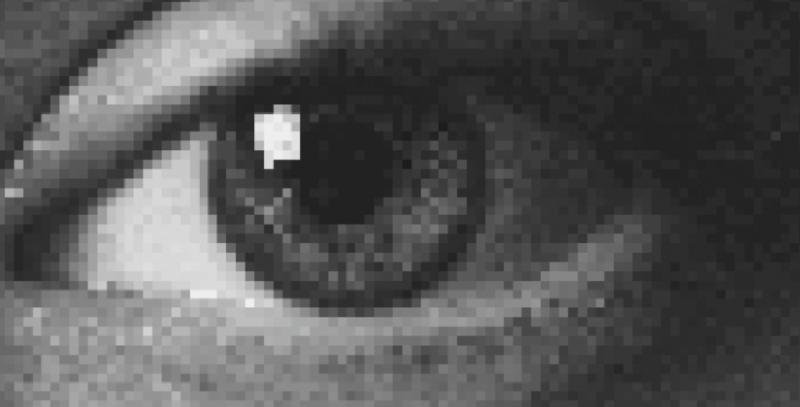 Shepparton Festival - Festival Opening