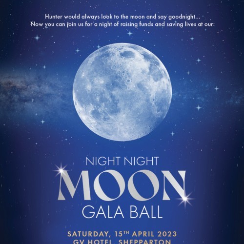 The Hunter Boyle Childrens Swim Program Fundraising Gala Ball