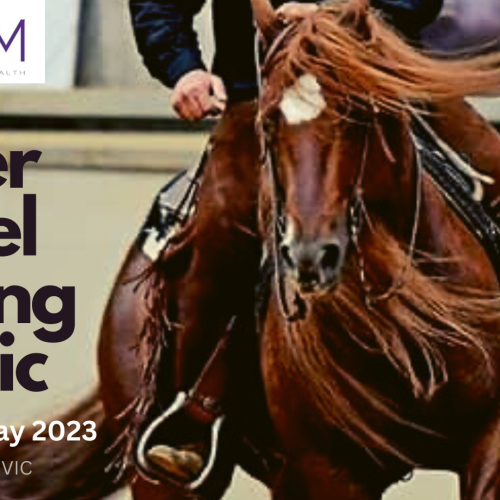 HI FORM WATER WHEEL REINING CLASSIC