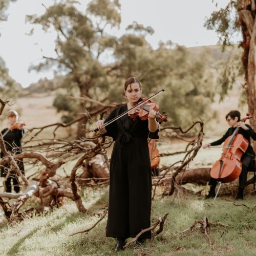 Riverlinks presents Goulburn Valley Concert Orchestra's Annual Concert