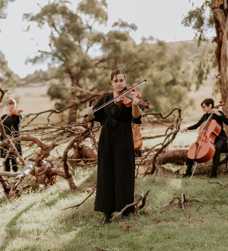 Riverlinks presents Goulburn Valley Concert Orchestra's Annual Concert
