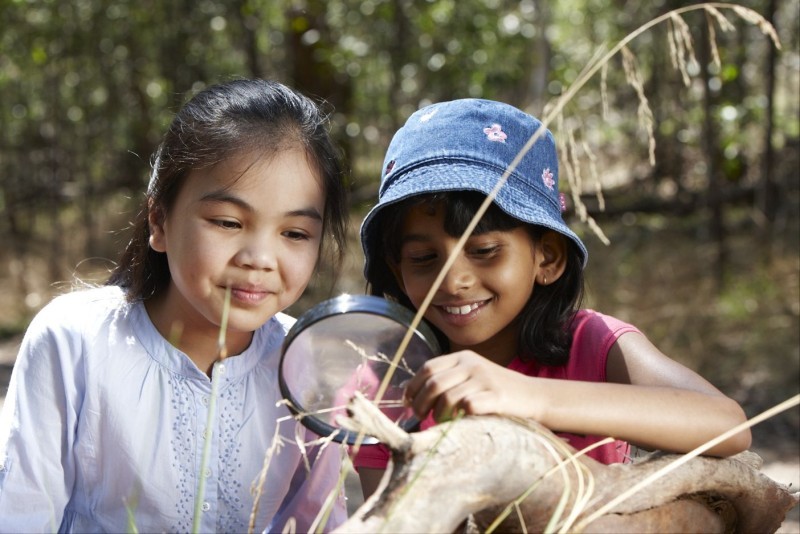 Parks Victoria Junior Ranger - Nature Treasure Hunt - Jordan's Bend