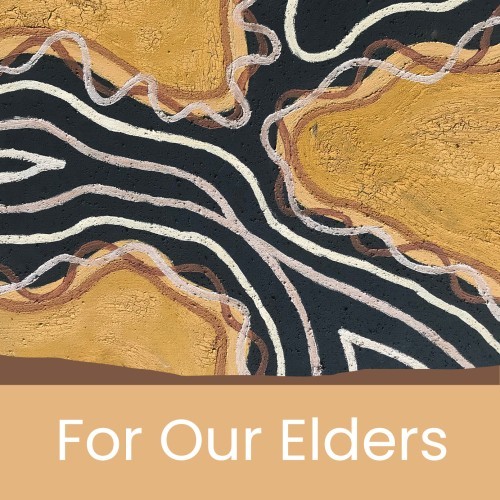 For Our Elders exhibition opening