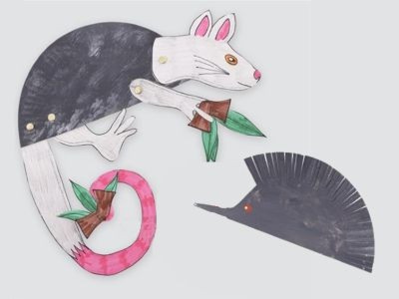NAIDOC Week School Holiday Fun at Shepparton Library - Scaly-tailed Possums & Echidnas