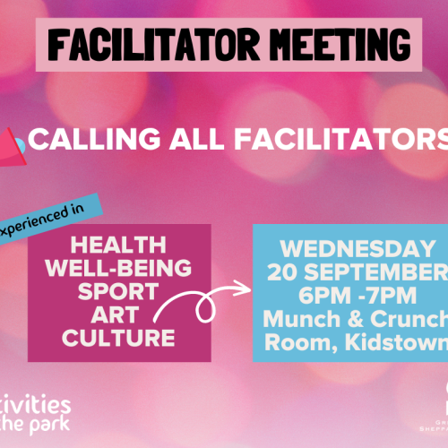 Facilitator Meeting - Activities in the Park