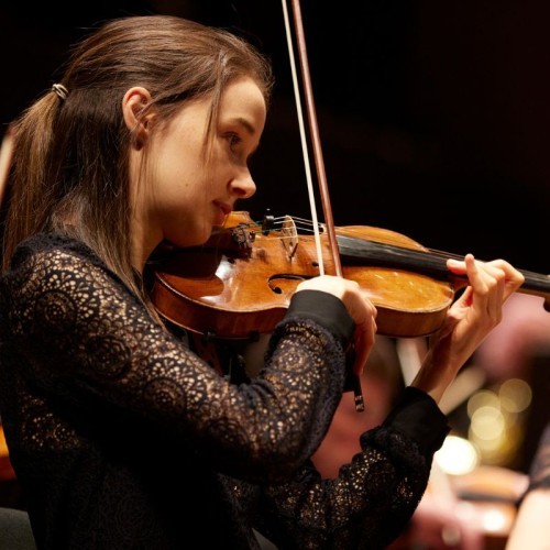 Riverlinks and Melbourne Symphony Orchestra present An Evening With The MSO - Mozart, Mendelssohn and More