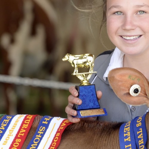 Hunters Rural Shepparton Ag Horse Show 2023