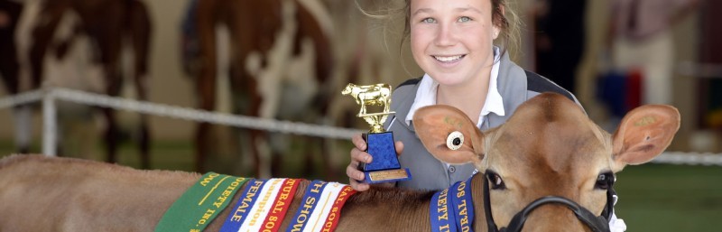 Hunters Rural Shepparton Ag Horse Show 2023