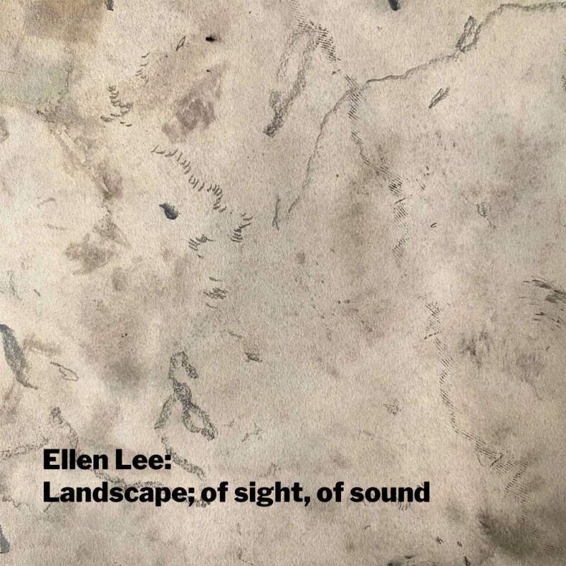 SAM Exhibition Opens - Ellen Lee 