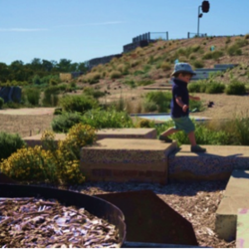 Australian Botanic Gardens "Connecting our Community with Nature" Launch