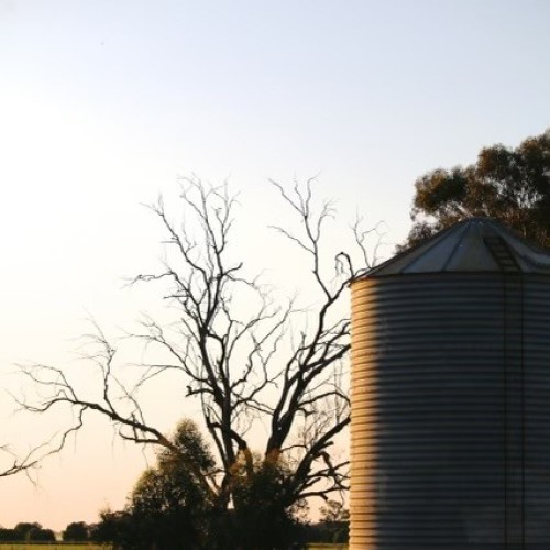 Golden Hour on the Hill