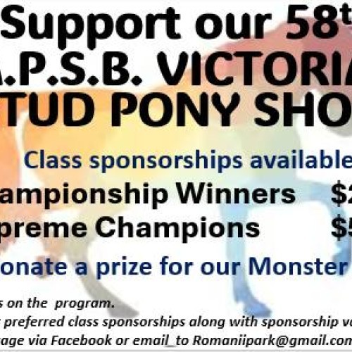 Victorian Stud Pony Show