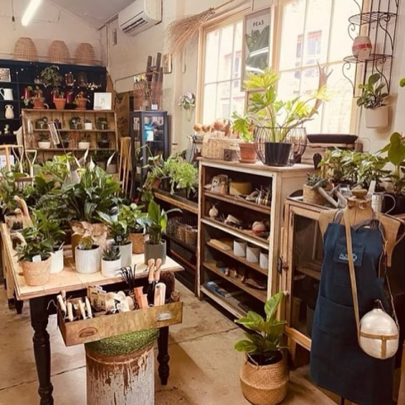 Rambling Wine Tours - Wine & Design Tour