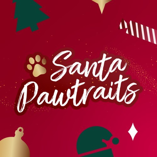 Santa Pet Paw-traits at Shepparton Marketplacet