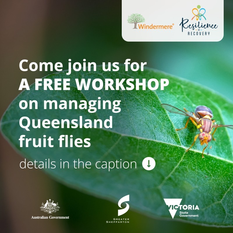 Queens Fruit Fly Workshop