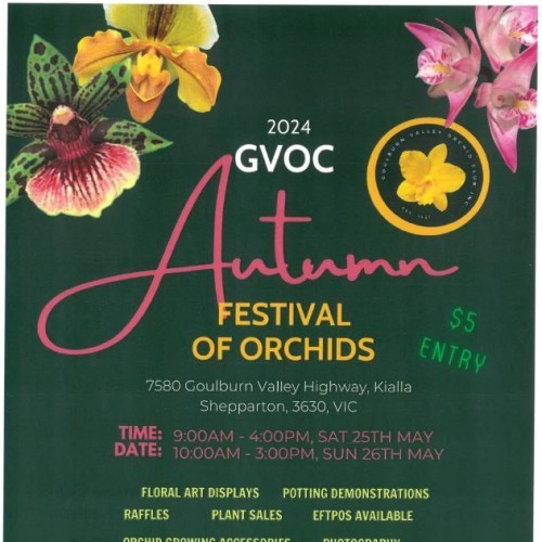 Autumn Festival of Orchids