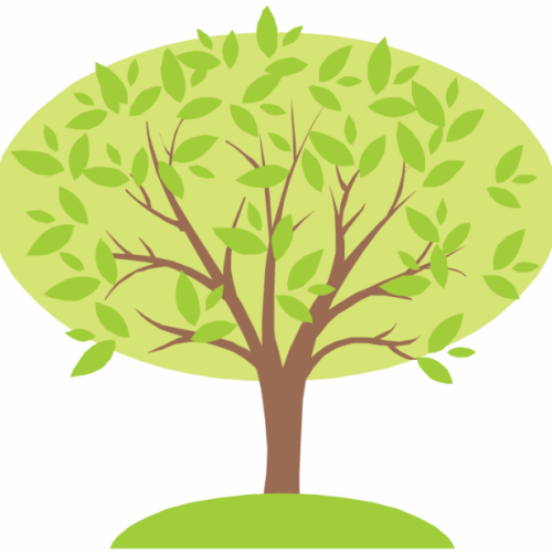 Connecting with the Past - Researching Your Family Tree at Shepparton Library