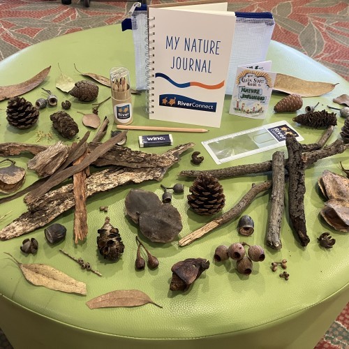 Intro to Nature Journaling