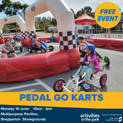 Pedal Go Karts - Fast and Furious Fun! 