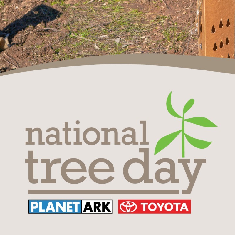 National Tree Day 2024