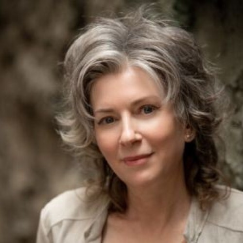 Author Talk at Shepparton Library - Alison Goodman