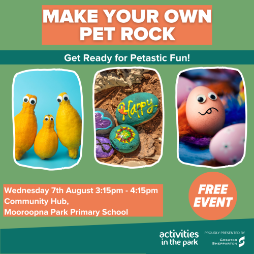 Make Your Own Pet Rock 