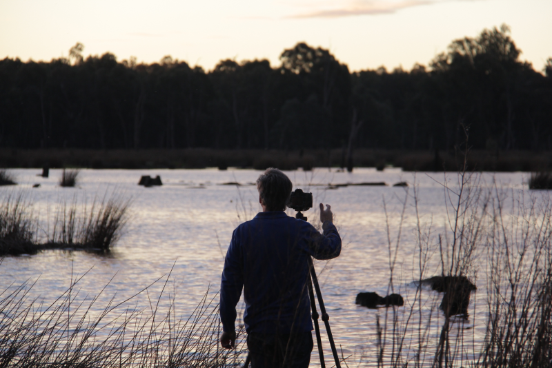 Nature Photography