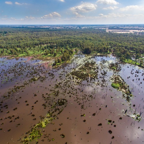 Wander at the Wetlands