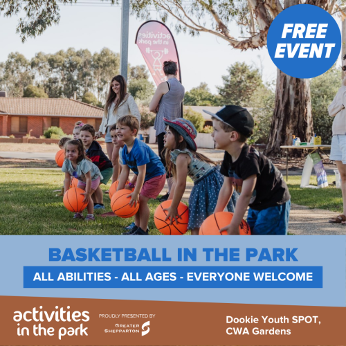 BASKETBALL IN THE PARK