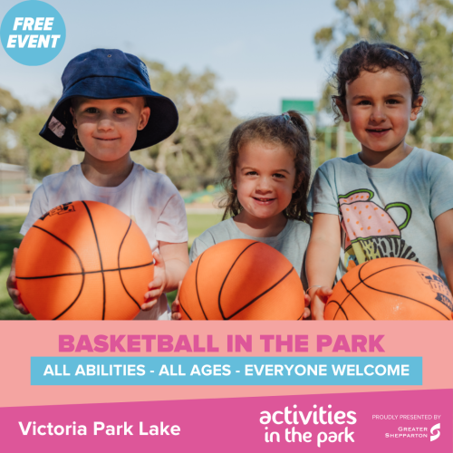 BASKETBALL IN THE PARK  