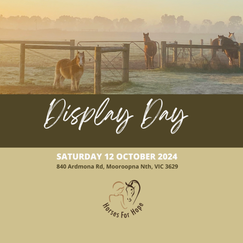 Horses for Hope Display Day