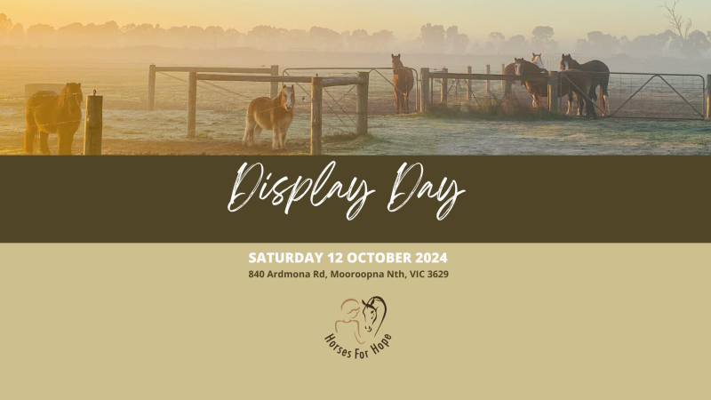 Horses for Hope Display Day